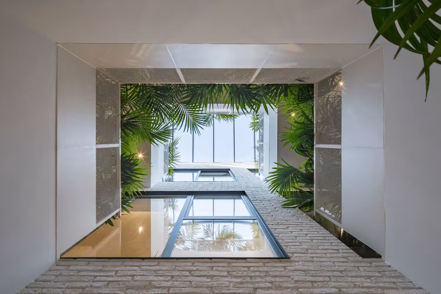 promoción herculina vigo